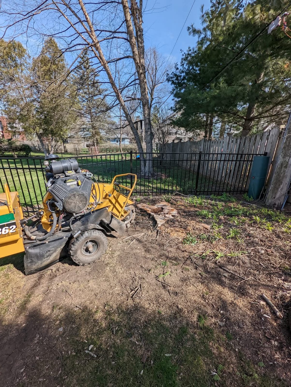 Tree trimming